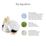 4 - in - 1 Loose Setting Powder - PÜR Beauty
